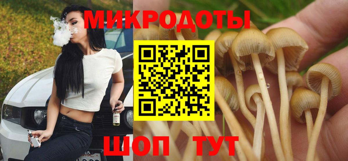 Чехов  Галлюциногенные грибы Psilocybine cubensis  Вход с VPN  Галлюциногенные грибы Magic Shrooms 