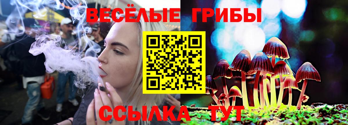 Псилоцибиновые грибы ЛСД Чехов